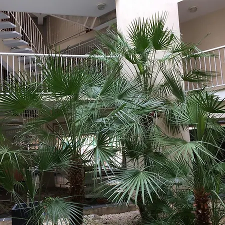 Lägenhet Tu Casa Parking Fibre Optique Netflix *