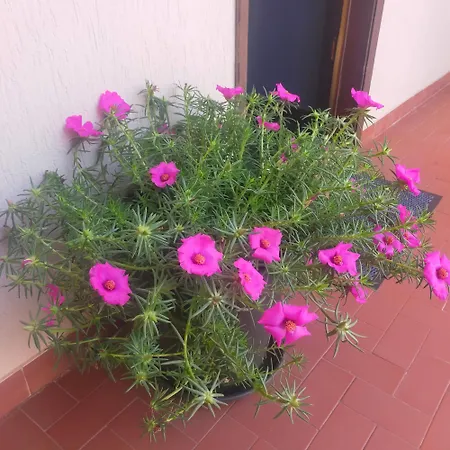 Apartment Tu Casa
